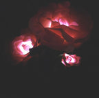 a01fb163a15ebb1ec4bc21bff71d5c16
