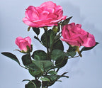 7c33c158bfd1b818f79285f4b328337f